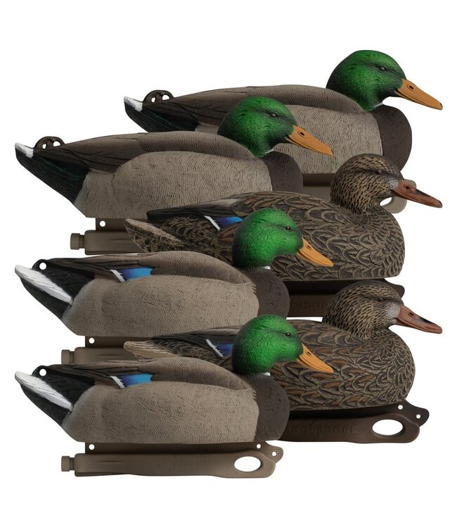 HARDCORE RUGGED SERIES STANDARD MALLARD DUCK DECOYS (6 PACK)