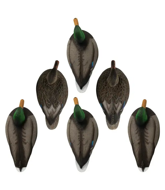 HARDCORE RUGGED SERIES STANDARD MALLARD DUCK DECOYS (6 PACK)