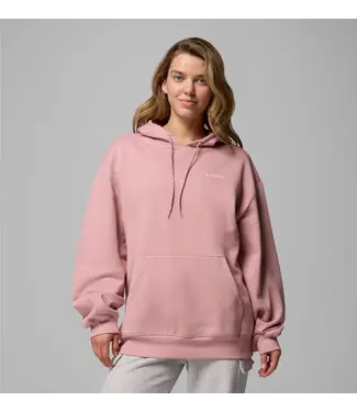 COLUMBIA WOMEN'S COLUMBIA ALDERMORE HOODIE