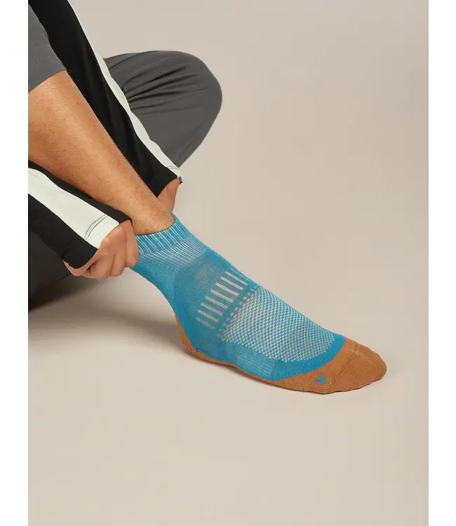 MEN'S ICEBREAKER HIKE+ MERINO LIGHT MINI SOCKS