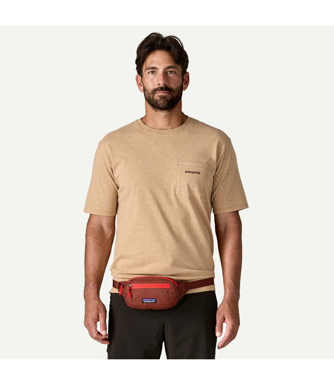 PATAGONIA TERRAVIA MINI HIP PACK