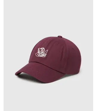 TENTREE TENTREE UNDERSTORY PEAK HAT - DARK BURGANDY / WARM OAK