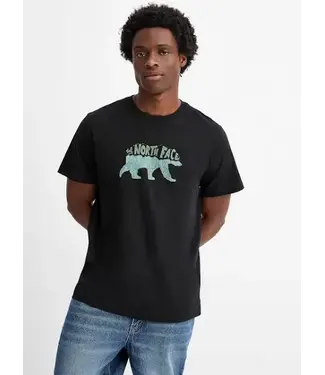 THE NORTH FACE MEN'S THE NORTH FACE EVOLUTION BEAR SHORT SLEEVE TEE