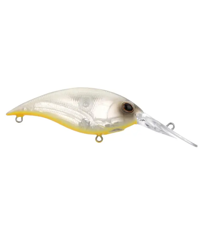 BERKLEY MONEY BADGER