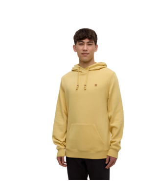 TENTREE MEN'S TENTREE REYNARD HOODIE