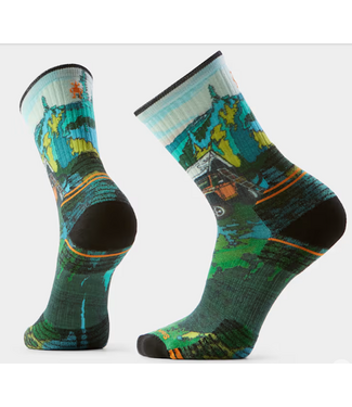 SMARTWOOL SMARTWOOL HIKE TARGETED CUSHION PRINT CREW SOCKS