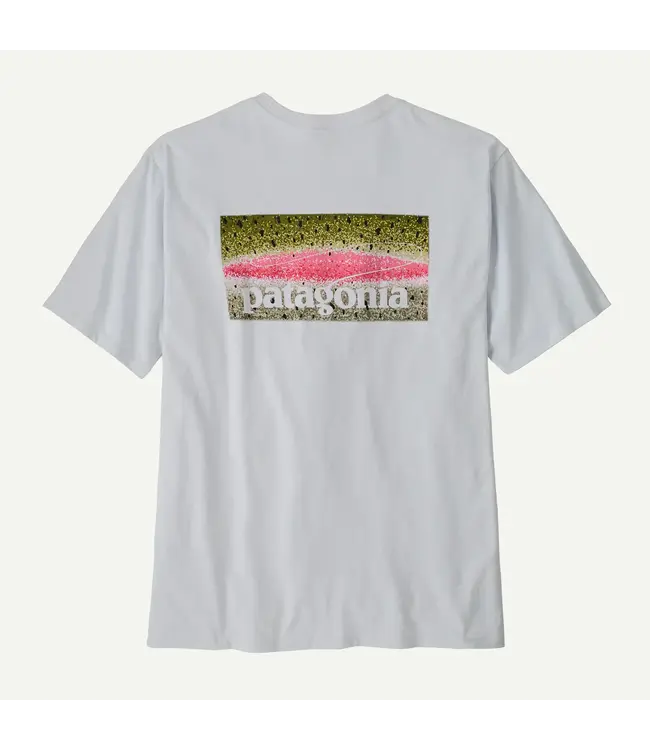 MEN'S PATAGONIA TAKE A STAND RESPONSIBILI-TEE