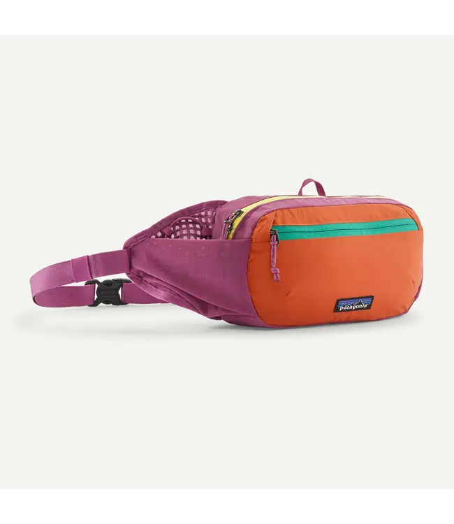 PATAGONIA TERRAVIA HIP PACK