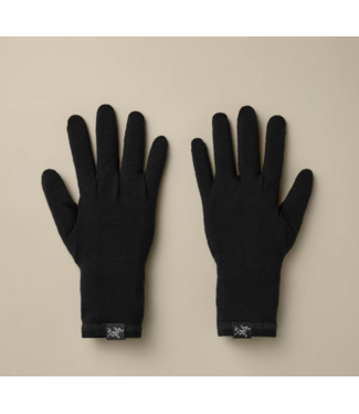 ARC'TERYX ARC'TERYX GOTHIC GLOVE