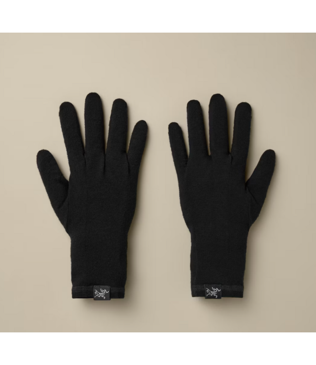 ARC'TERYX GOTHIC GLOVE