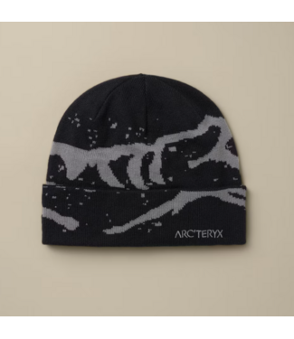 ARC'TERYX ARC'TERYX GROTTO TOQUE