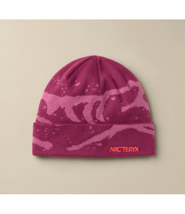 ARC'TERYX GROTTO TOQUE