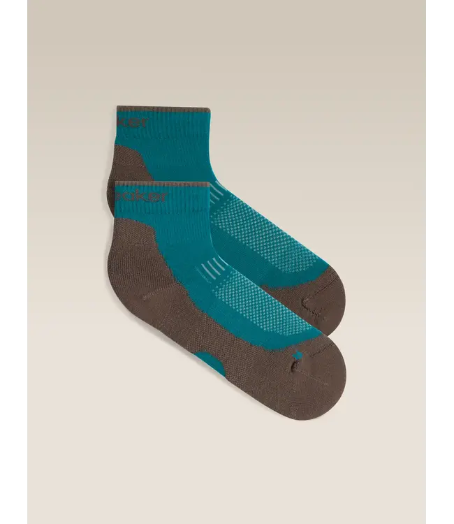 WOMEN'S ICEBREAKER MERINO HIKE+ LIGHT MINI SOCKS