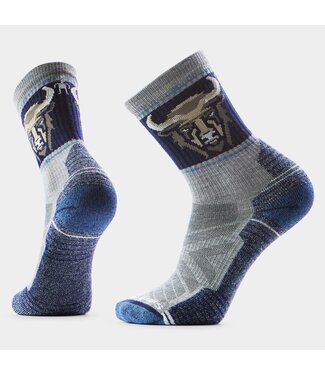 SMARTWOOL MEN'S SMARTWOOL HIKE LIGHT CUSHION BISON CREW SOCKS