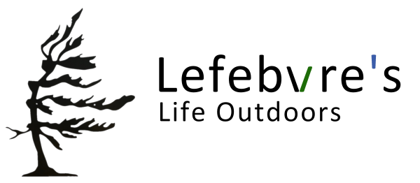 Lefebvre's