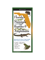Florida's Mammals, Reptiles, & Amphibians