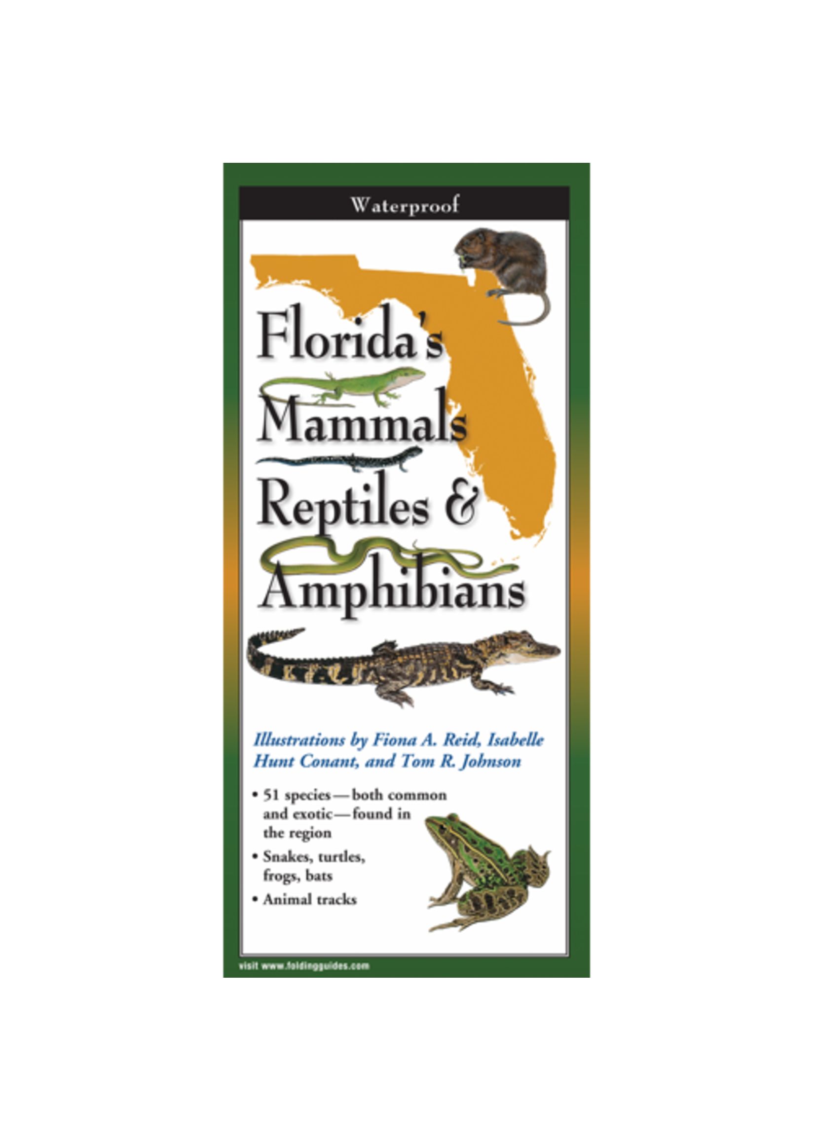 Earth Sky + Water Florida's Mammals, Reptiles, & Amphibians