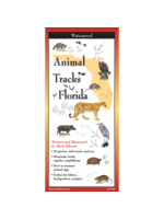 Animals Tracks of Florida
