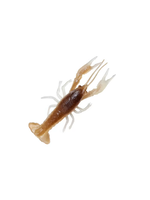 Savage Gear Savage Gear 3451 Ned Craw 2 1/2 4pk