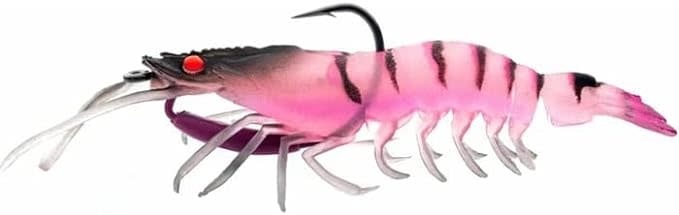 fishing clash bonnethead shark lure Strobe Shaker Option:Juvy Gill Daiwa Crossfire LT Spinning 2 oz