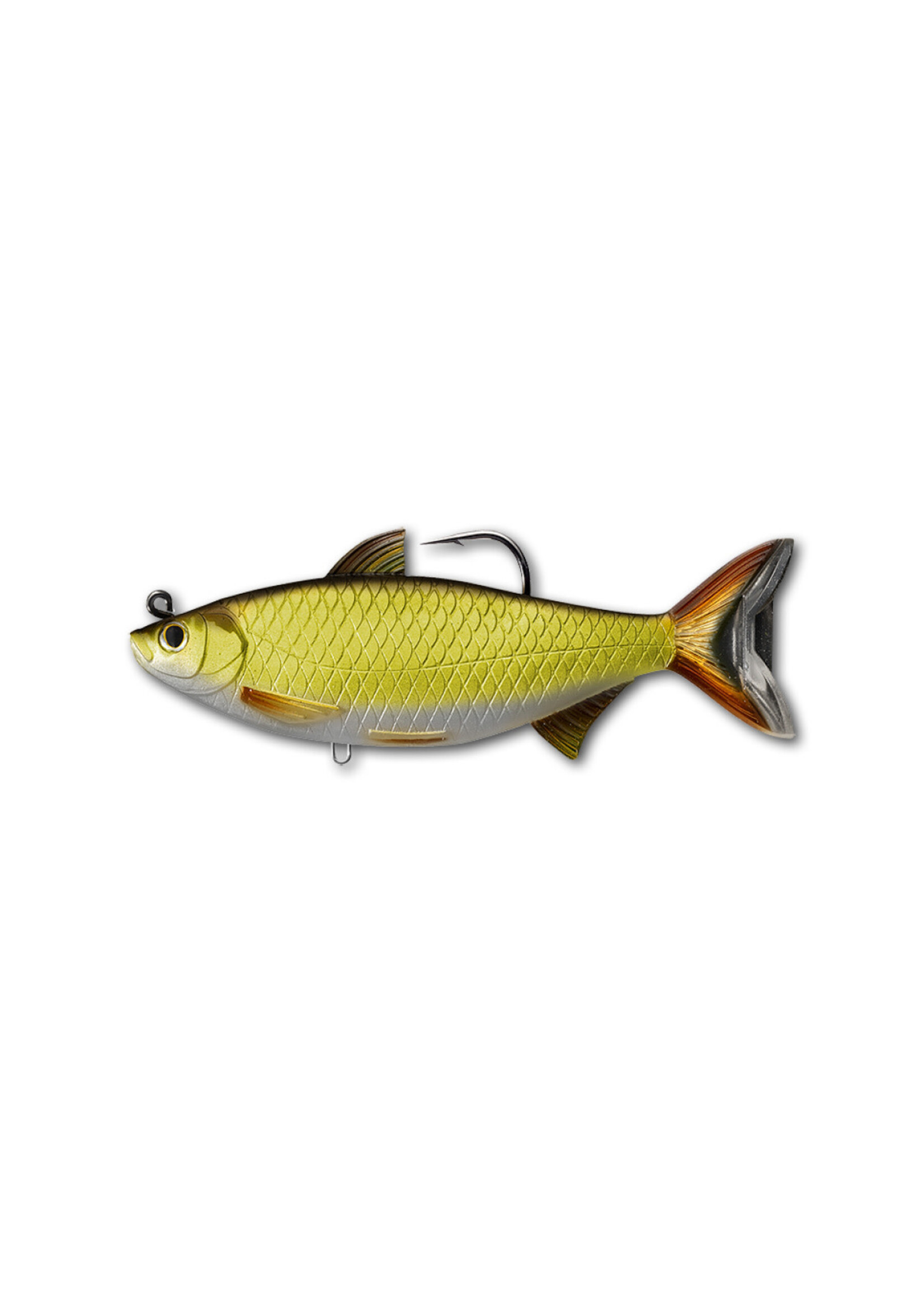 LiveTarget LiveTarget GSS140MS704 Golden Shiner