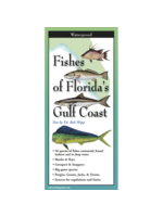 Fishes of Florida's Gulf Coast