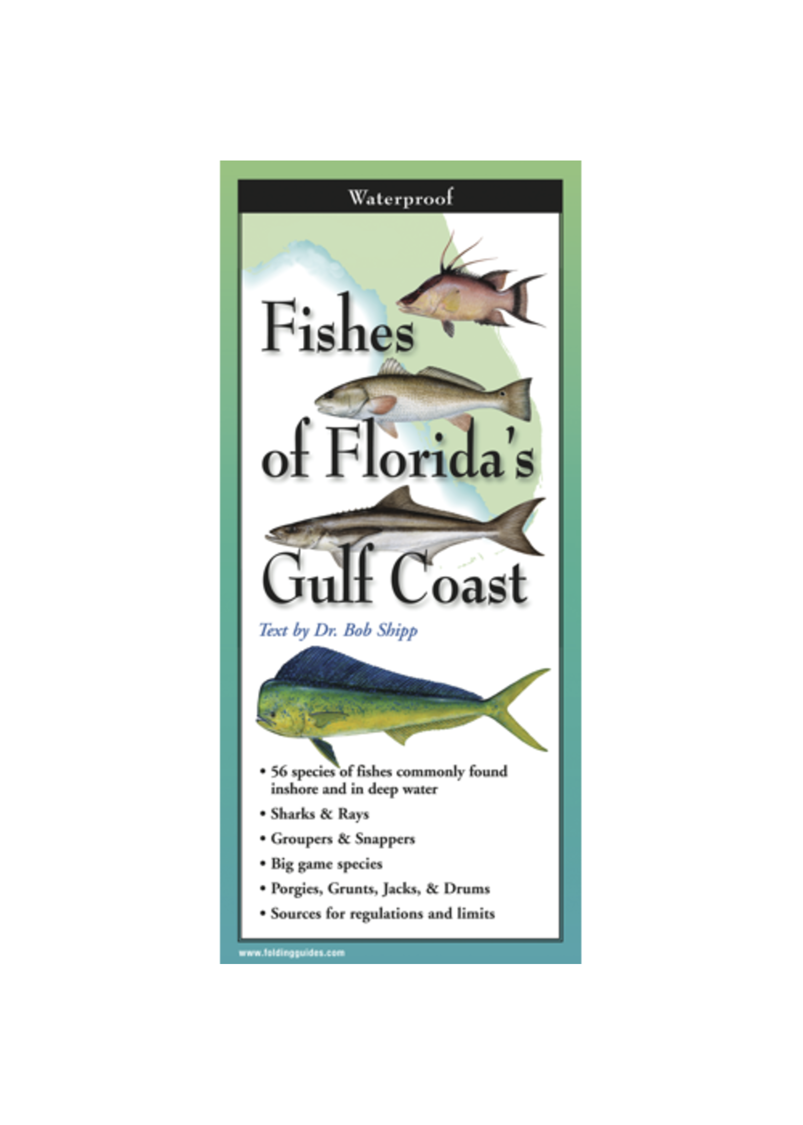 Fishes of Florida's Gulf Coast