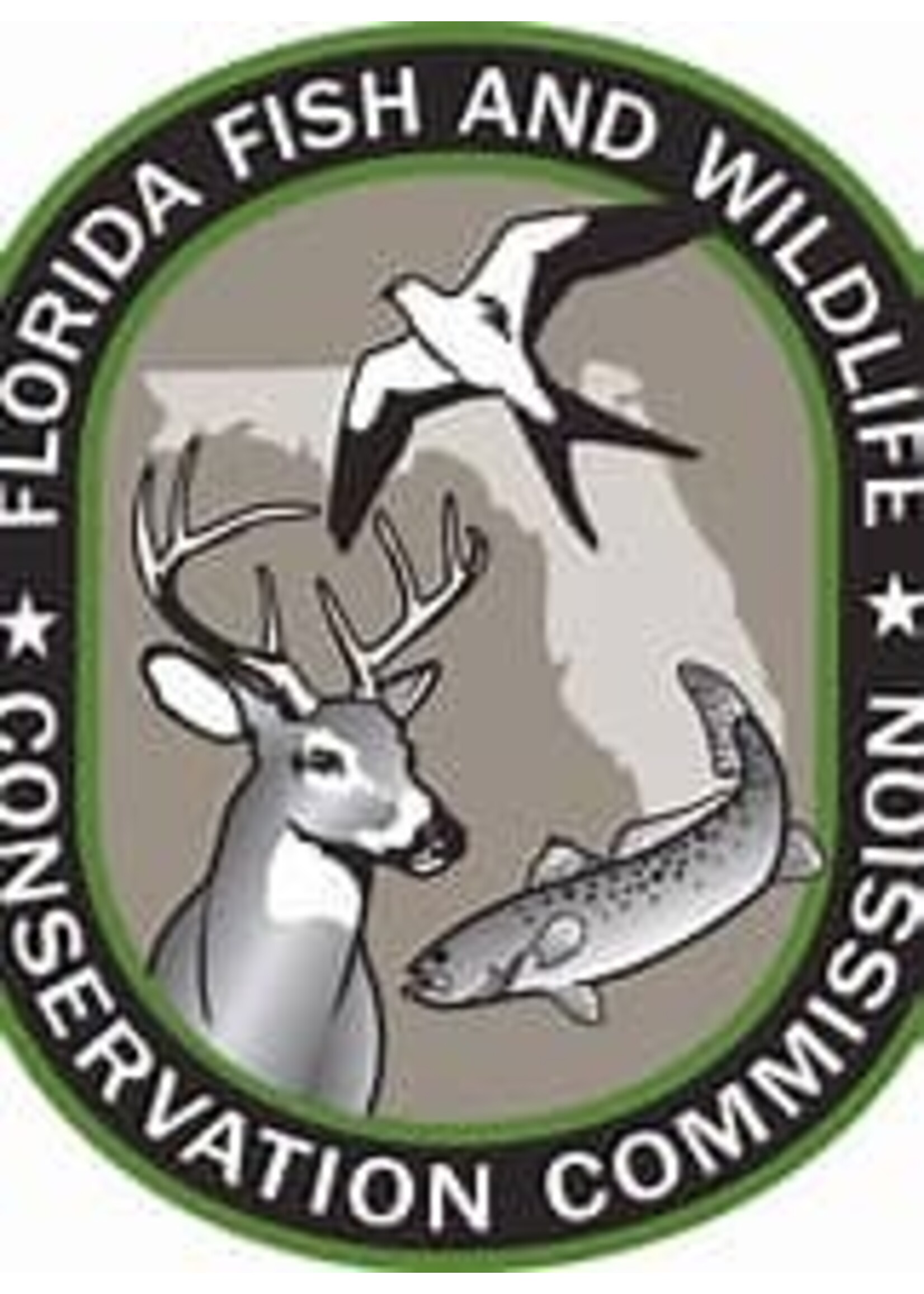 Fishing License Reprint