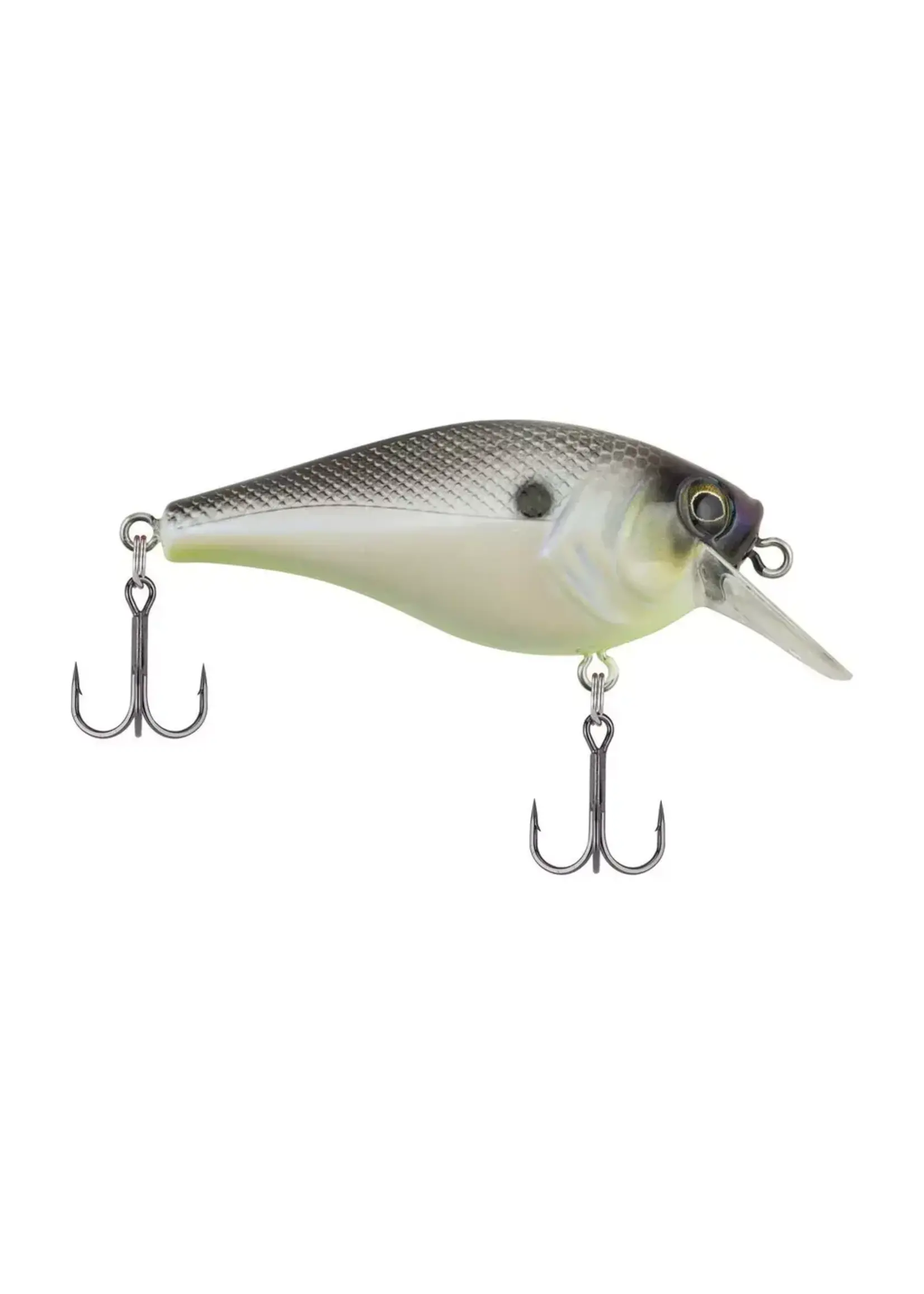 Berkley Squarebull 5.5