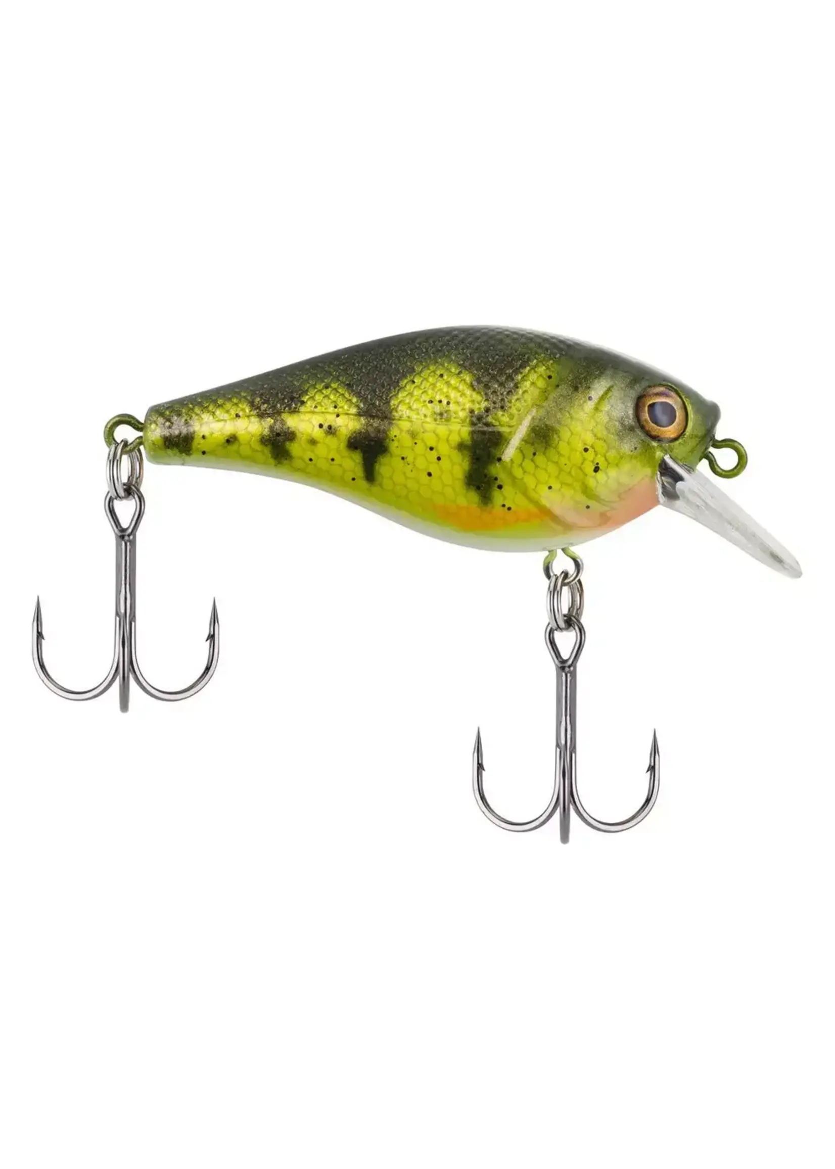Berkley Squarebull 5.5