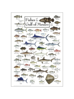 POSTER Fishes of the Gulf of Mexico