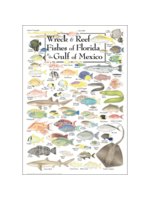 Earth Sky + Water POSTER Wreck & Reef Fishes of FL & Gulf