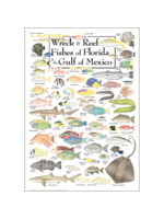 POSTER Wreck & Reef Fishes of FL & Gulf