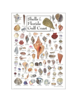 POSTER Shells of FL Gulf Coast