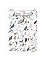 Earth Sky + Water POSTER Sibley's Birds of FL