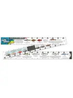 Salty Bones Salty Bones Fish Ruler Florida Lawstick 36"