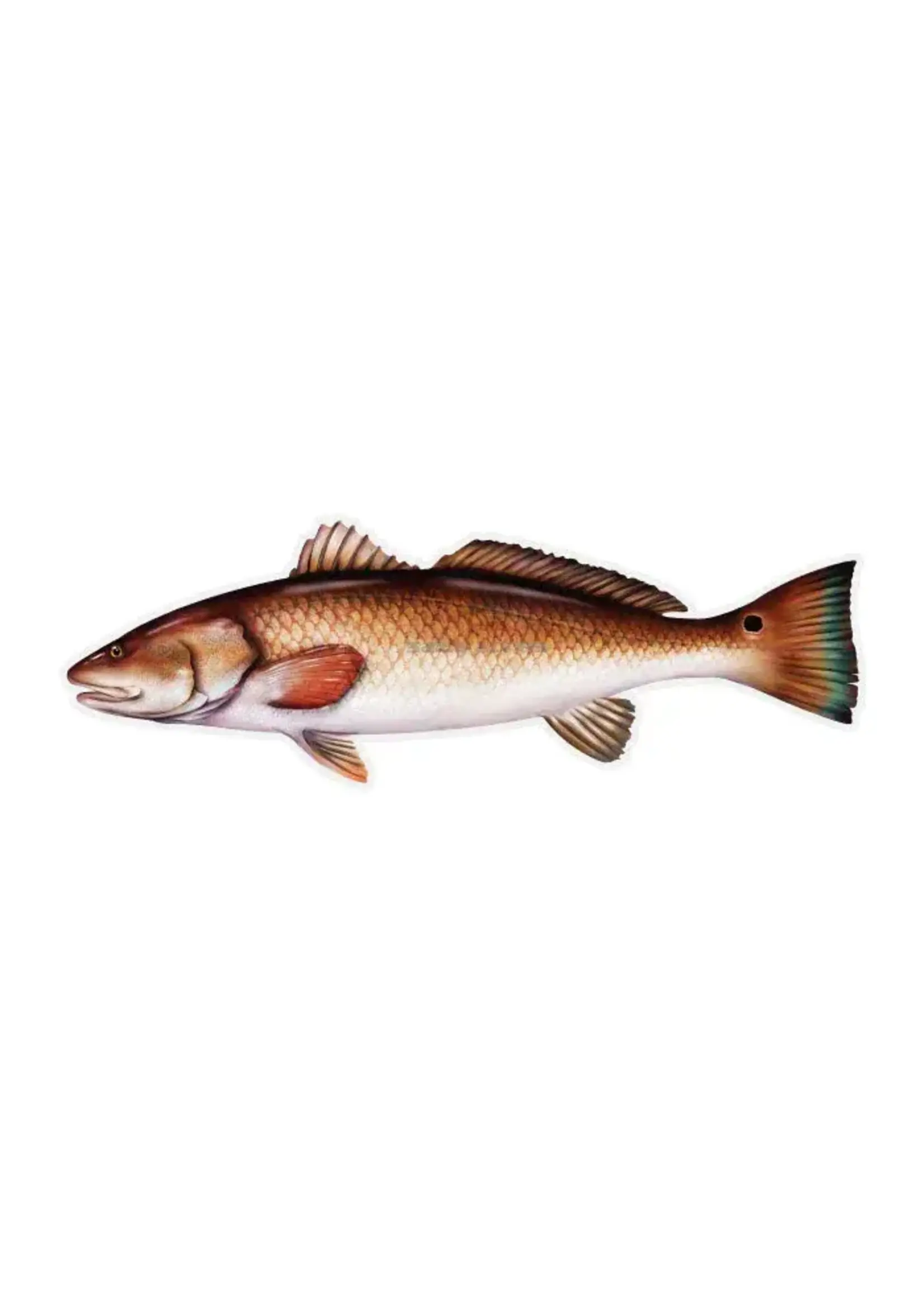 Salty Bones Redfish Profile Fish Decal Sticker, 4.5″ x 15.75″