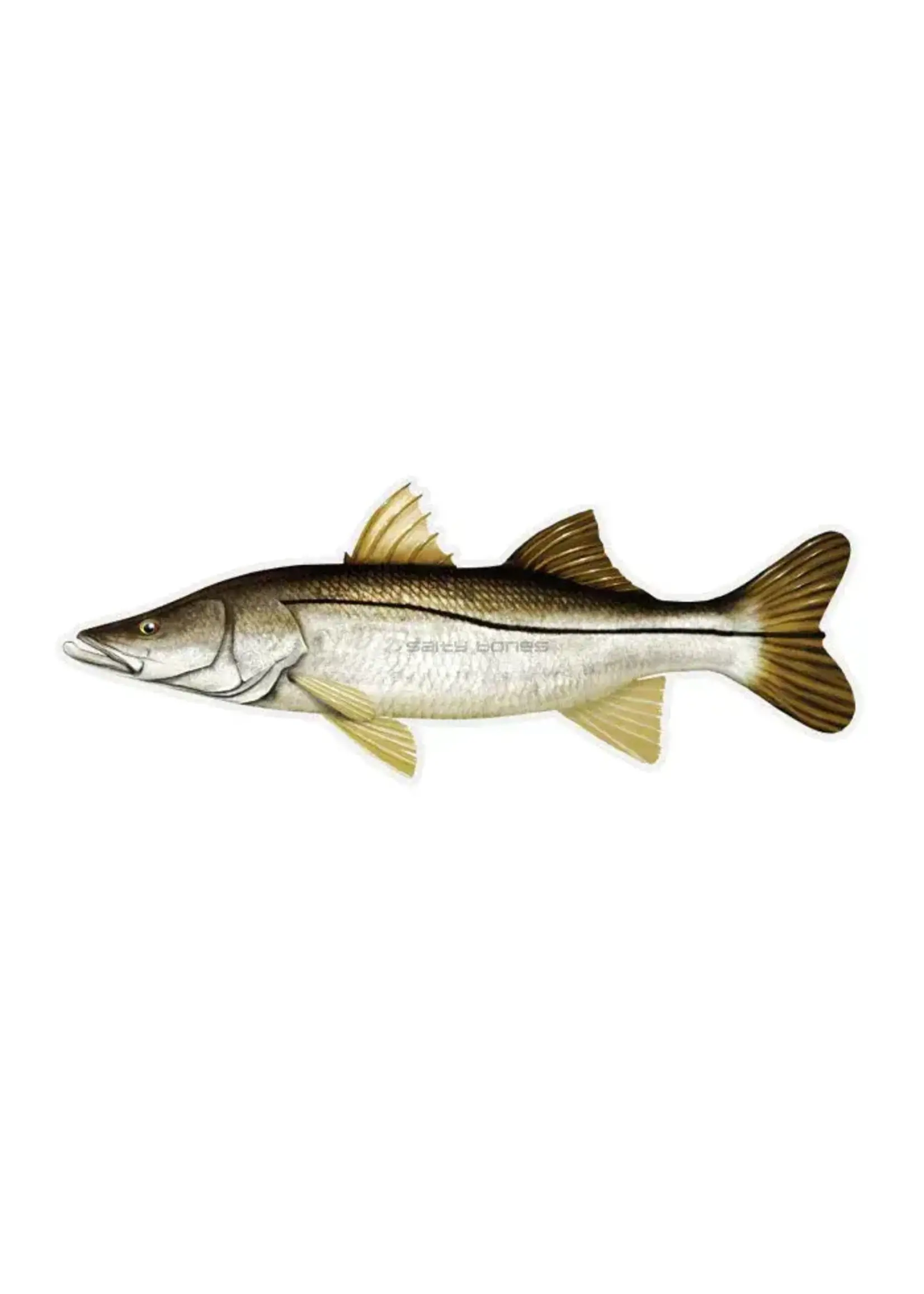 Salty Bones Snook Profile Fish Decal Sticker, 4.5″ x 15.75″