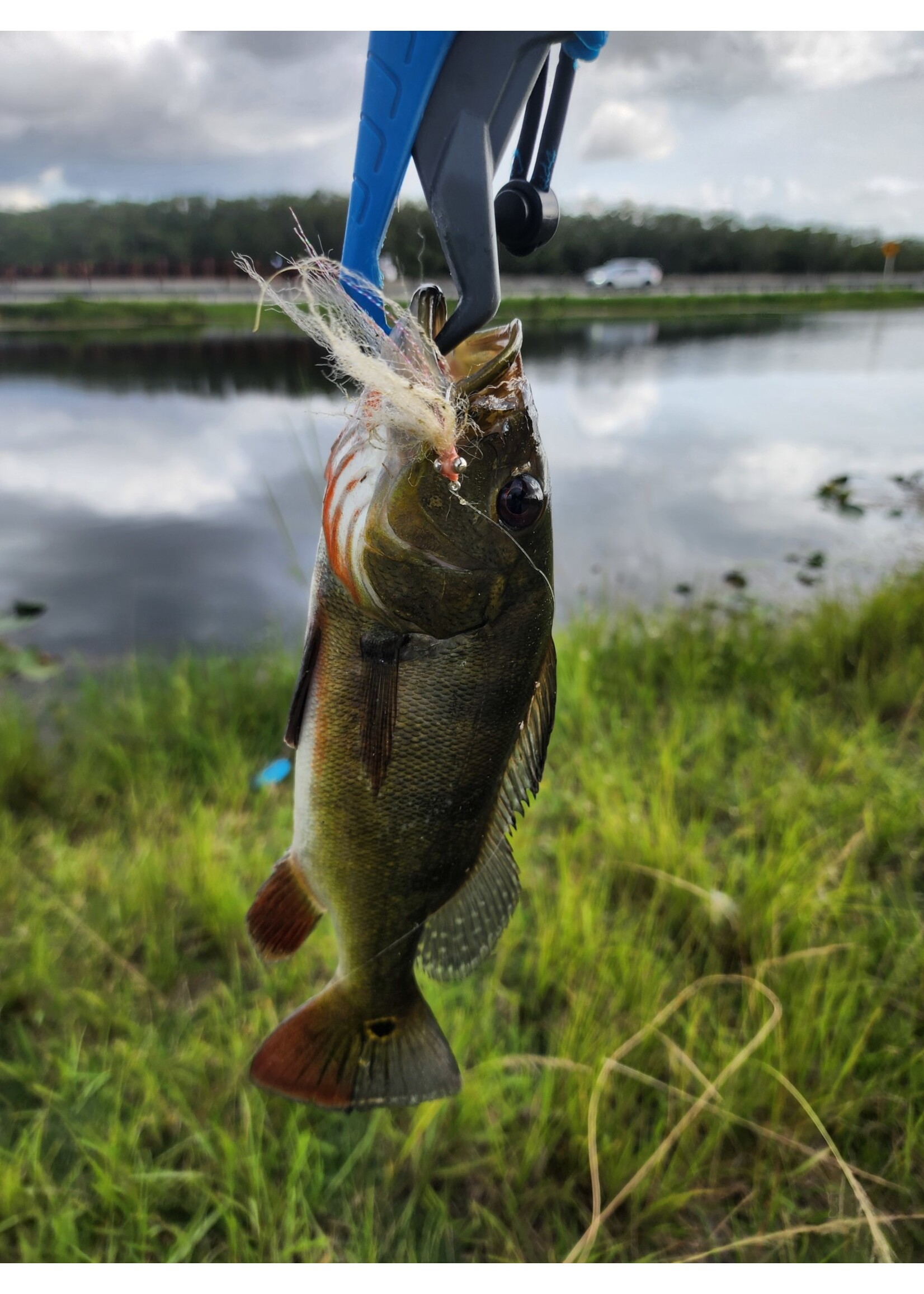 Peacock/ Largemouth Bass Flies - Variety 3pk
