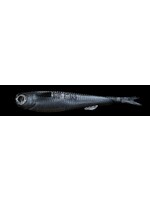 NLBN NLBN Mini Mullet 4" - Smoked Mullet 5pk