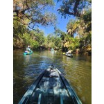 Located On The Estero River