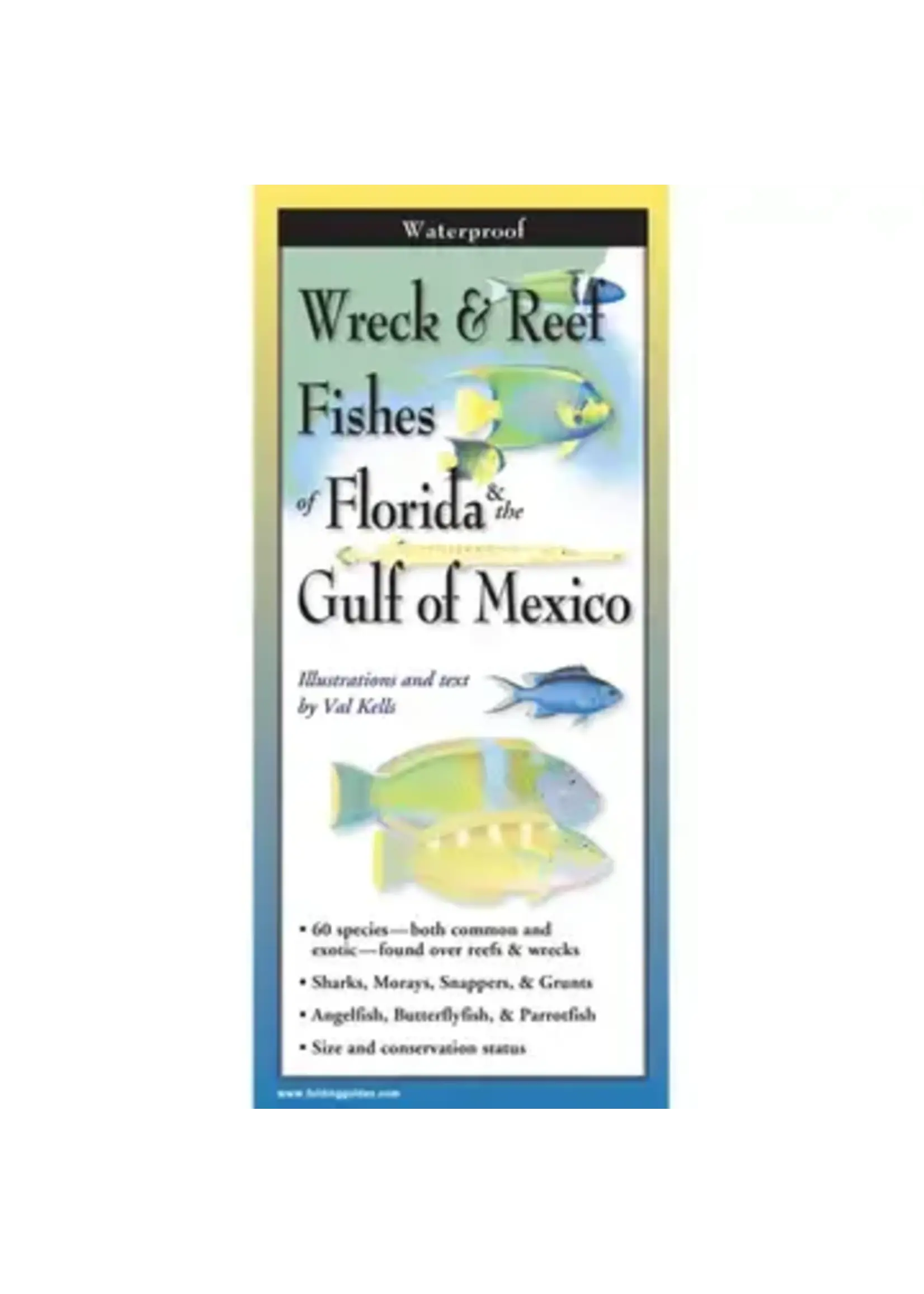 Wreck & Reef Fishes FL & Gulf