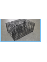 Lee Fisher PinFish Trap