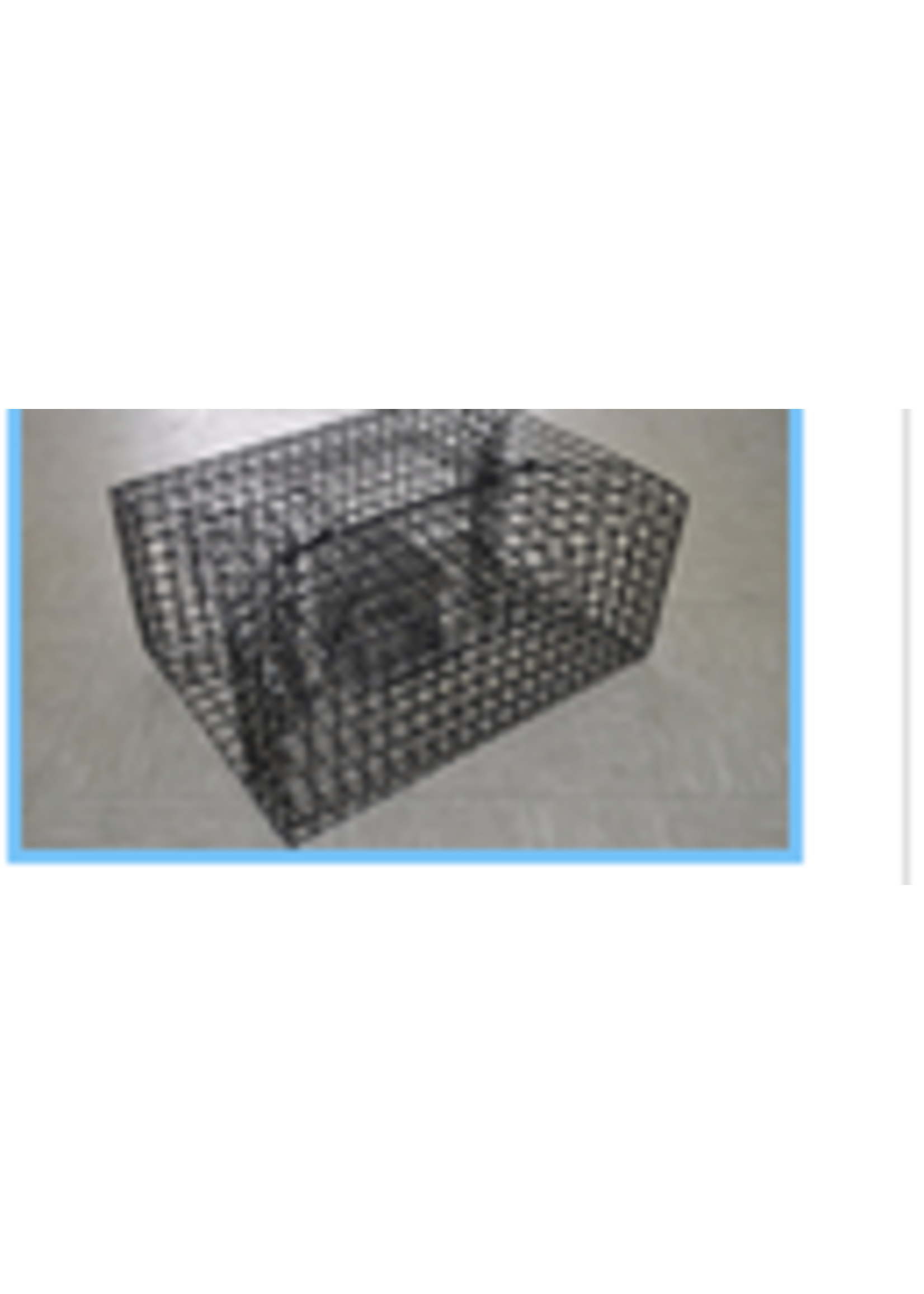 Lee Fisher PinFish Trap