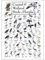 Earth Sky + Water POSTER Coastal & Wetlands Birds of FL