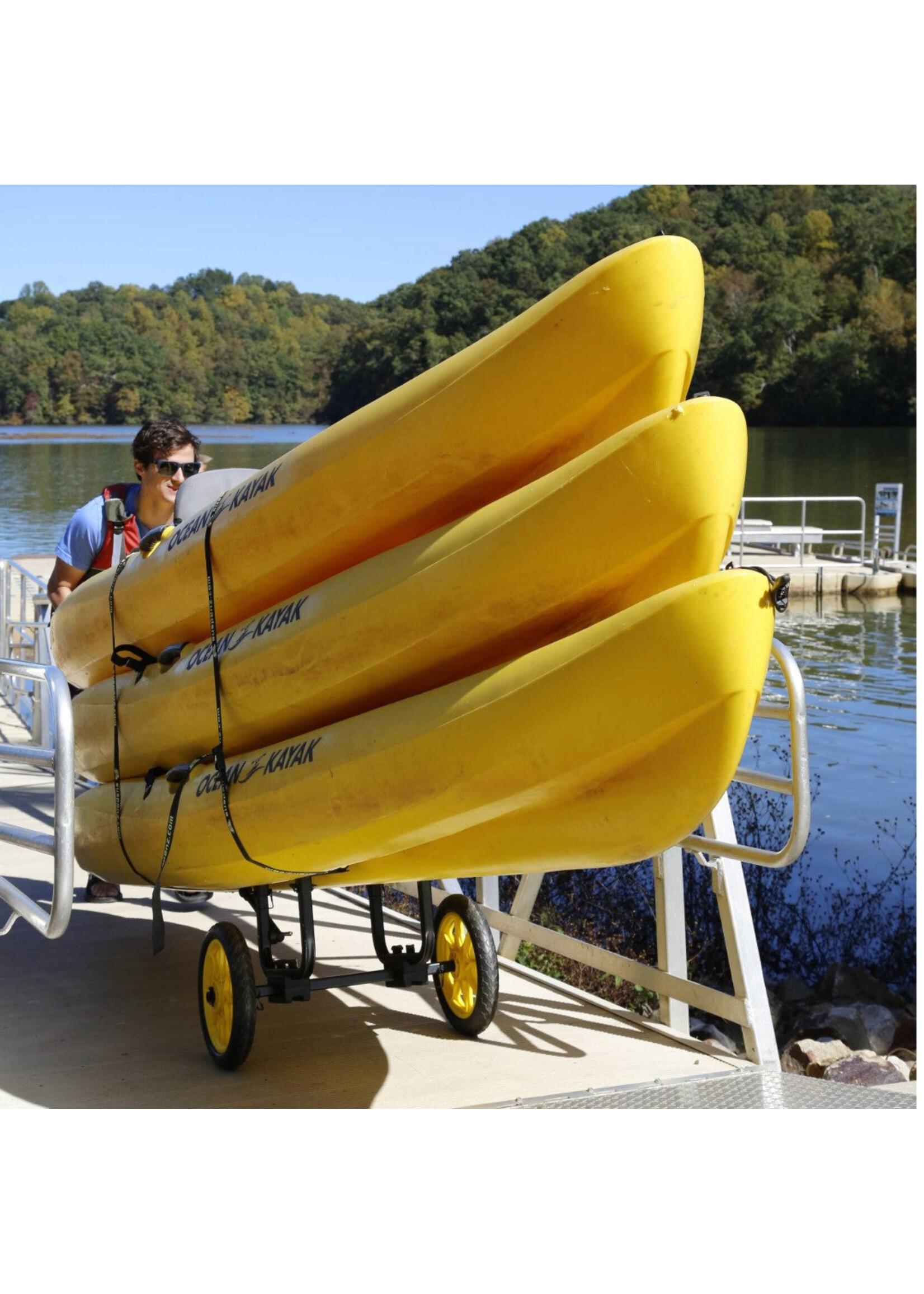 Suspenz Suspenz Catch - All Universal Airless Cart
