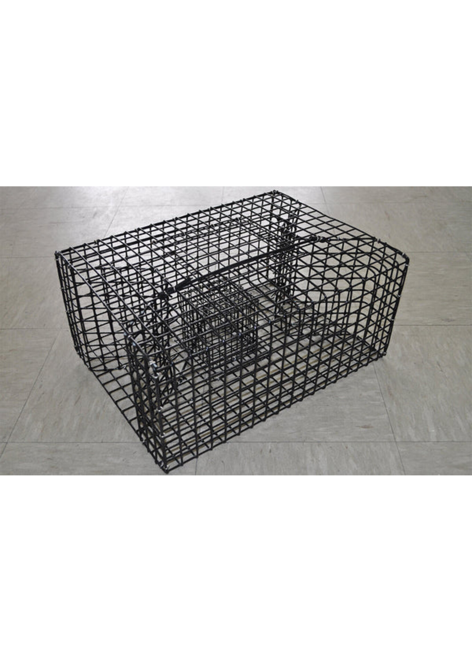 Lee Fisher PinFish Trap