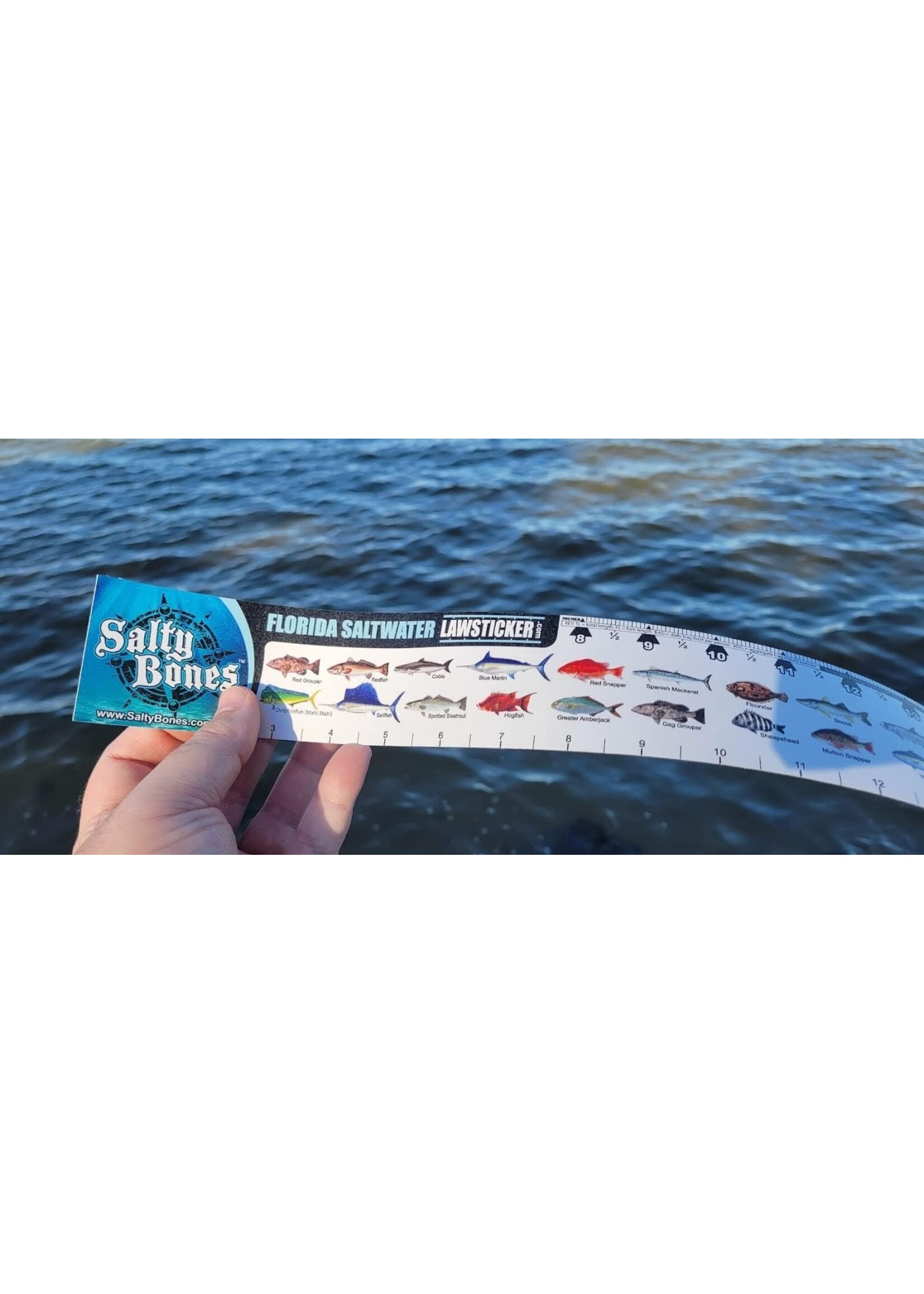 Salty Bones Salty Bones FL Saltwater Vinyl Ruler 36"