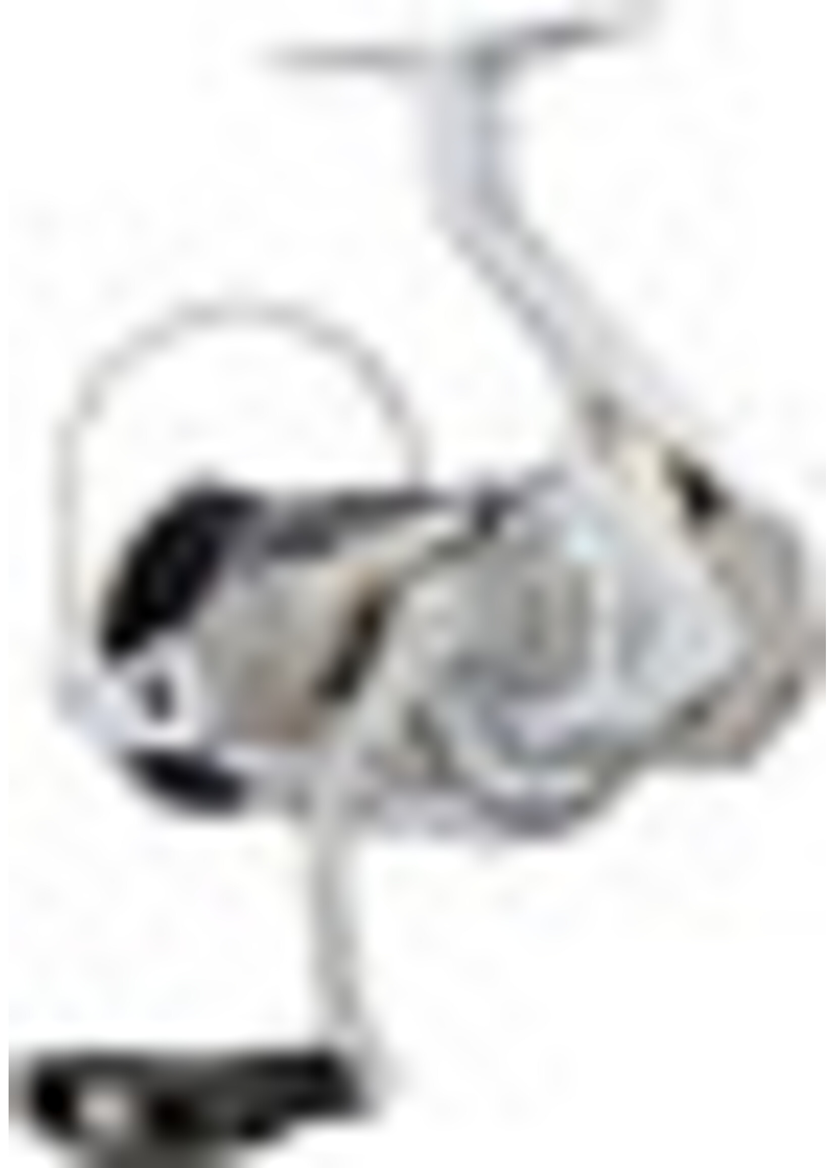 Shimano Shimano Stradic 3000XG FM
