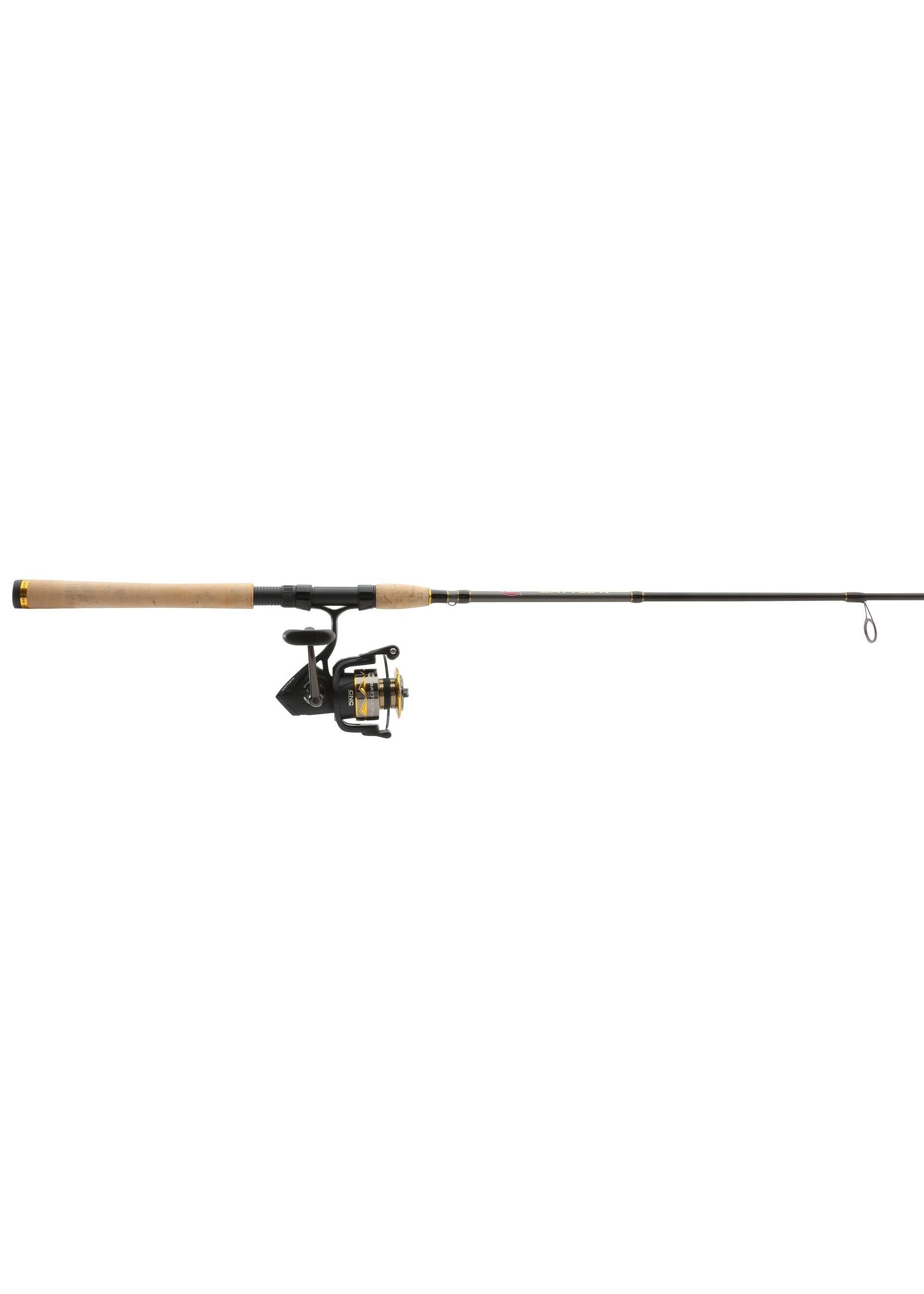Penn PENN Battle IV Combo 3000 7'01" ML Fast